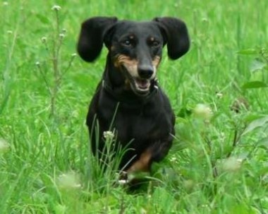 Patiënt van de maand: Josephine